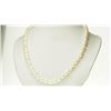 Image 1 : #5-STERLING SILVER FRESHWATER PEARL NECKLACE