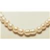Image 2 : #5-STERLING SILVER FRESHWATER PEARL NECKLACE