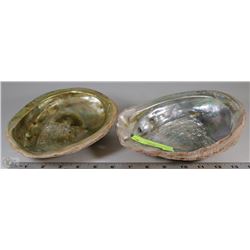 2 LARGE OYSTER SHELLS