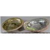 Image 1 : 2 LARGE OYSTER SHELLS