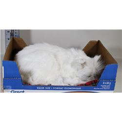 PARAGON TUCKER WESTIE