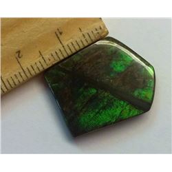 GREEN FIRE NATURAL AMMOLITE GEMSTONE