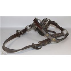 ORNATE HORSE HALTER