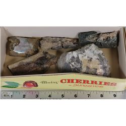 FOSSILS DIOSAUR BONE WITH 2 PIECES PETRIFIED