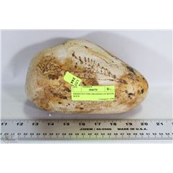 PRIMITIVE FISH DRAWING ON RIVER ROCK