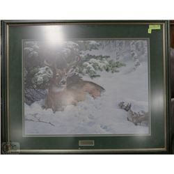 JORGE MAYOL "ECHO FROM THE HILLS" DEER UNDER