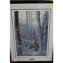 DANIEL SMITH "CURIOUS PRESENCE " WHITE TAIL DEER