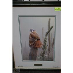 DANIEL SMITH "FENCE LINE DISPLAY" KESTREL/FALCON