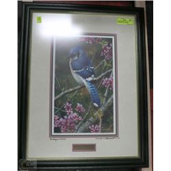 CARL BRENDERS "FLASH OF SAPPHIRE" BLUE JAY 2001