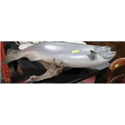 MOUNTED 44" KING SALMON DISPLAY