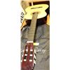 Image 1 : CLASSICAL GUITAR WITH BAG CASE