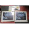 Image 1 : LOT OF 4 SIGNED PRINTS INCL. FIRST AND LAST #'D