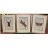 Image 1 : SET OF 3 INSECT LITHOGRAPHS FRAMED 1890