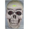 Image 1 : LARGE LIGHT UP SKULL