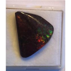 RED FIRE AMMOLITE GEMSTONE