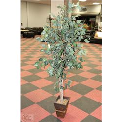 ARTIFICIAL 6'  FLOOR PLANT