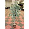 Image 1 : ARTIFICIAL 6'  FLOOR PLANT