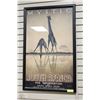 Image 1 : SOUTH AFRICA FRAMED GIRAFFE PICTURE