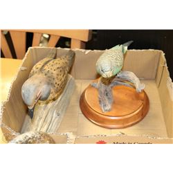 HAND CARVED & PAINTED WOOD BIRD DISPLAYS