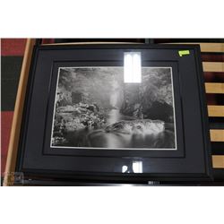 BLACK AND WHITE PRINT 43"X33"