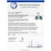 Image 3 : 14KT White Gold 7.39ctw Tanzanite and Diamond Dangle Earrings