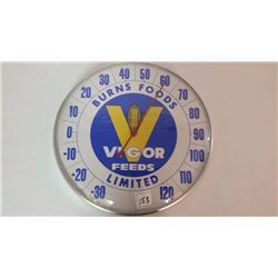 Vigor Glass Thermometer