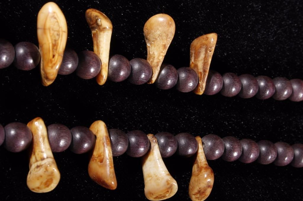Northern Plains Elk Ivory Teeth Kill Necklace 19th