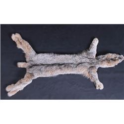 Alaskan Lynx Tanned Hide