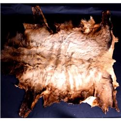 Tanned Montana Elk Hide