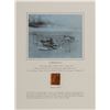 Image 1 : Curtiss NC-4 Fabric Swatch