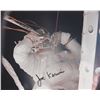 Image 8 : ASF Club 2006 Collection of Signed Photographs