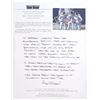 Image 2 : Alan Bean’s Apollo 11 Mission Viewing-Used and Crew-Signed Vehicle Permit