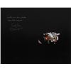 Image 1 : James Lovell Oversized Signed Photograph