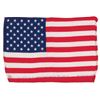 Image 1 : Dave Scott’s Apollo 15 Lunar Orbit-Flown Mid-Sized Flag
