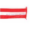 Image 2 : Dave Scott’s Apollo 15 Lunar Orbit-Flown Flag