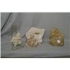 Image 1 : Selection of fossilized pieces including a squirrel, Scleractiniam coral, a fossiliferous rock with 