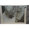 Image 1 : Unframed limited edition print "Silent Witness" pencil signed by artist Robert Bateman, 1854/2209, c