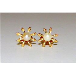 14K Gold Pearls Starbust Design Earrings