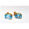 Image 1 : 10K Gold Blue Topaz Post Earrings
