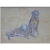 Image 1 : LOCKWOOD, LUCY, study of two golden Labradors, one lying, the other standing, oils on panel, sign...