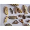 Image 4 : Collection of 31 spear/arrow heads