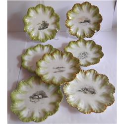 7 scalloped edge plates