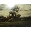 Image 2 : Large field scene print
