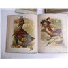 Image 11 : 11 antique/vintage children's books