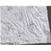 Image 2 : c. 1930 quilt cover