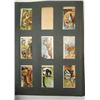 Image 4 : Collection of assorted Cigarette picture cards