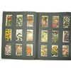 Image 6 : Collection of assorted Cigarette picture cards