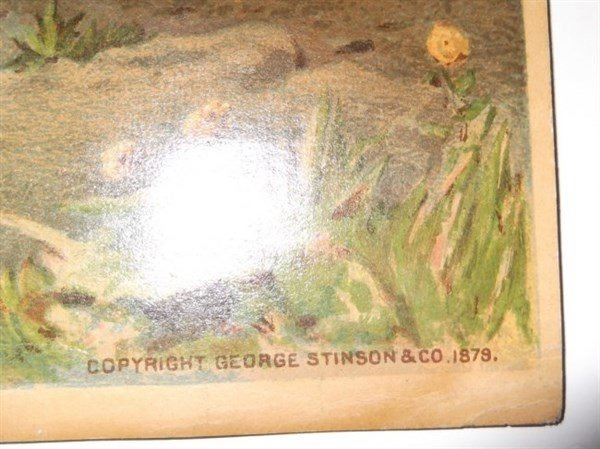 4 George Stinson & co. 1879 chromolithographs