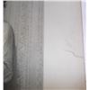 Image 4 : antique book plate engravings