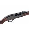 Image 1 : Remington Nylon 66 Auto-Loading Semi-Auto Rifle